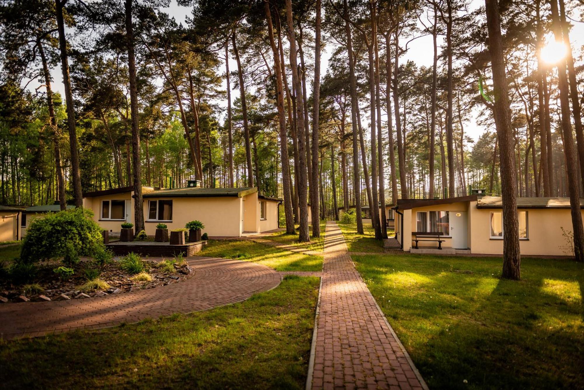 Domki Lesne Uroczysko Ustka Exterior foto